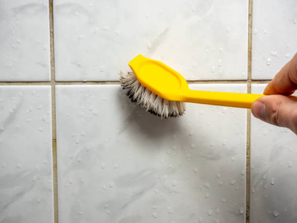 Best Emergency Mold Removal  in Hopewell, VA