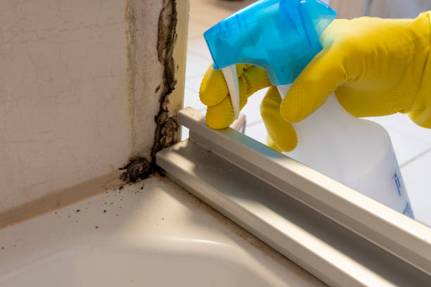 Best Mold Testing  in Hopewell, VA