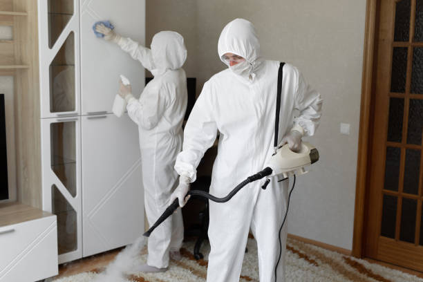 Best Office Mold Removal Services  in Hopewell, VA