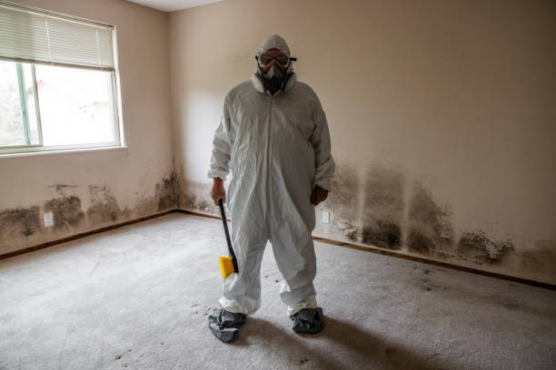 Best Fast Mold Removal  in Hopewell, VA
