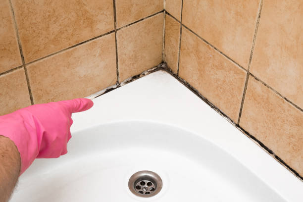 Best Residential Mold Removal  in Hopewell, VA